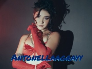 Antonellaagrayy
