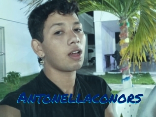 Antonellaconors