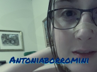 Antoniaborromini