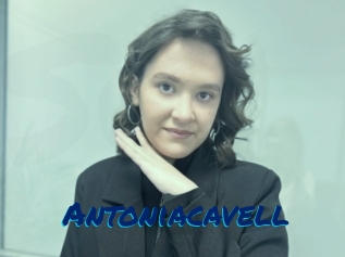 Antoniacavell
