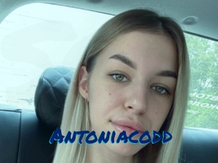 Antoniacodd