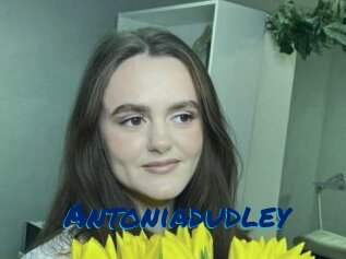 Antoniadudley