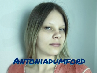 Antoniadumford