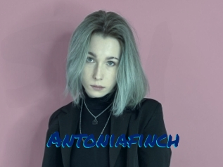 Antoniafinch