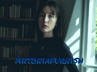 Antoniafurnish