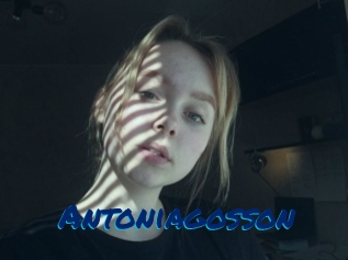 Antoniagosson
