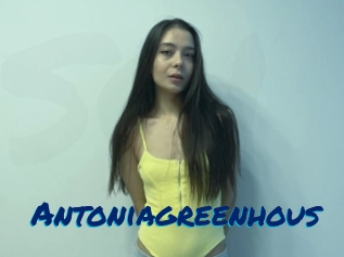 Antoniagreenhous