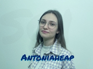 Antoniaheap