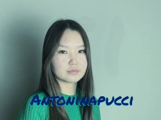 Antoninapucci