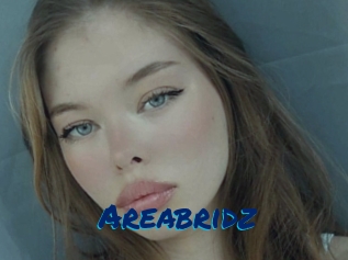 Areabridz