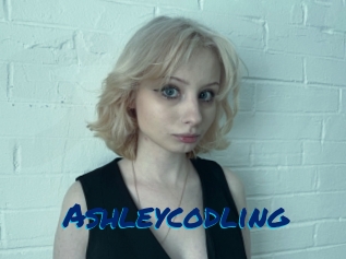 Ashleycodling