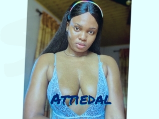 Attiedal