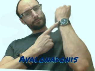 Avalonadonis