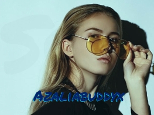 Azaliabuddyx