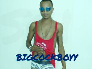 BIGCOCKBOYY