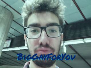 BigGayForYou