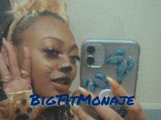BigTitMonaje