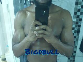 Bigdbull