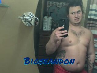 Bigseandon