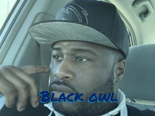 Black_owl