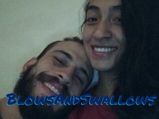 BlowsAndSwallows