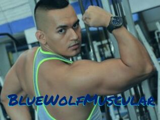 BlueWolfMuscular