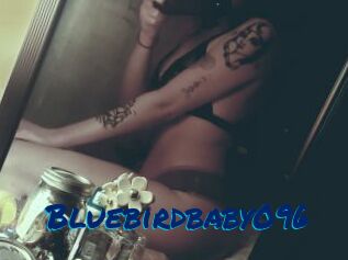Bluebirdbaby096