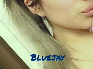 Blue_jay