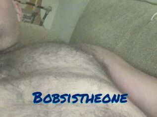 Bobsistheone