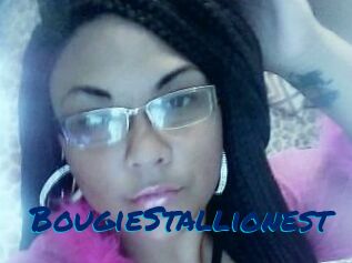 BougieStallionest