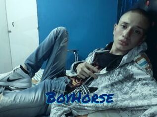 BoyHorse