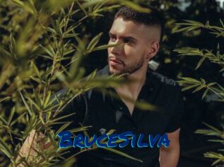 BruceSilva