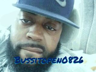 Bussitopen0826