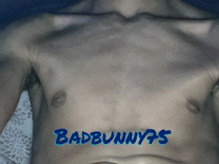 Badbunny75