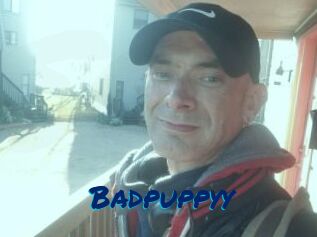 Badpuppyy