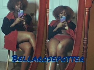 Bellarosepotter