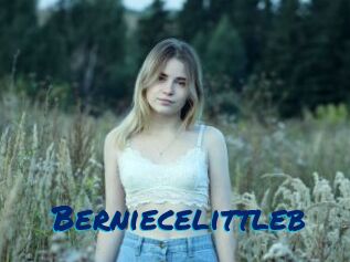 Berniecelittleb