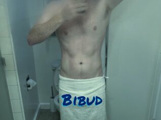 Bibud
