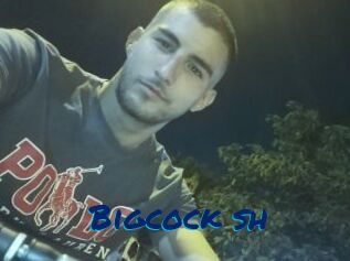 Bigcock_sh