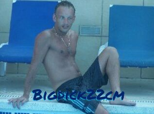 Bigdick22cm