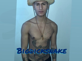 Bigdicksnake