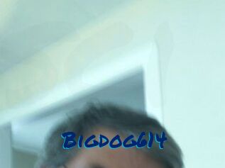 Bigdog614