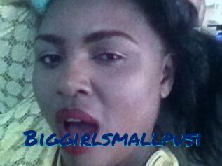 Biggirlsmallpusi