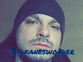 Bigkaneswonder
