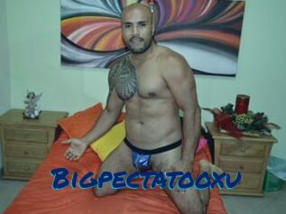 Bigpectatooxu