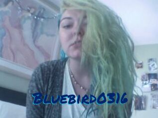 Bluebird0316