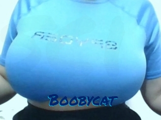 Boobycat