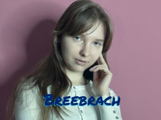 Breebrach
