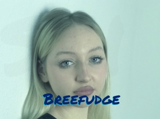 Breefudge