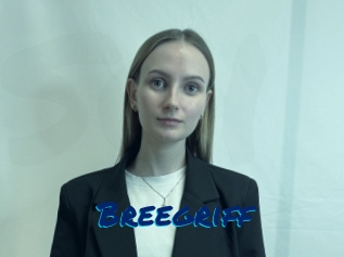 Breegriff